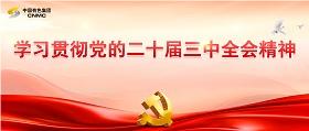 學(xué)習(xí)貫徹黨的二十屆三中全會(huì)精神